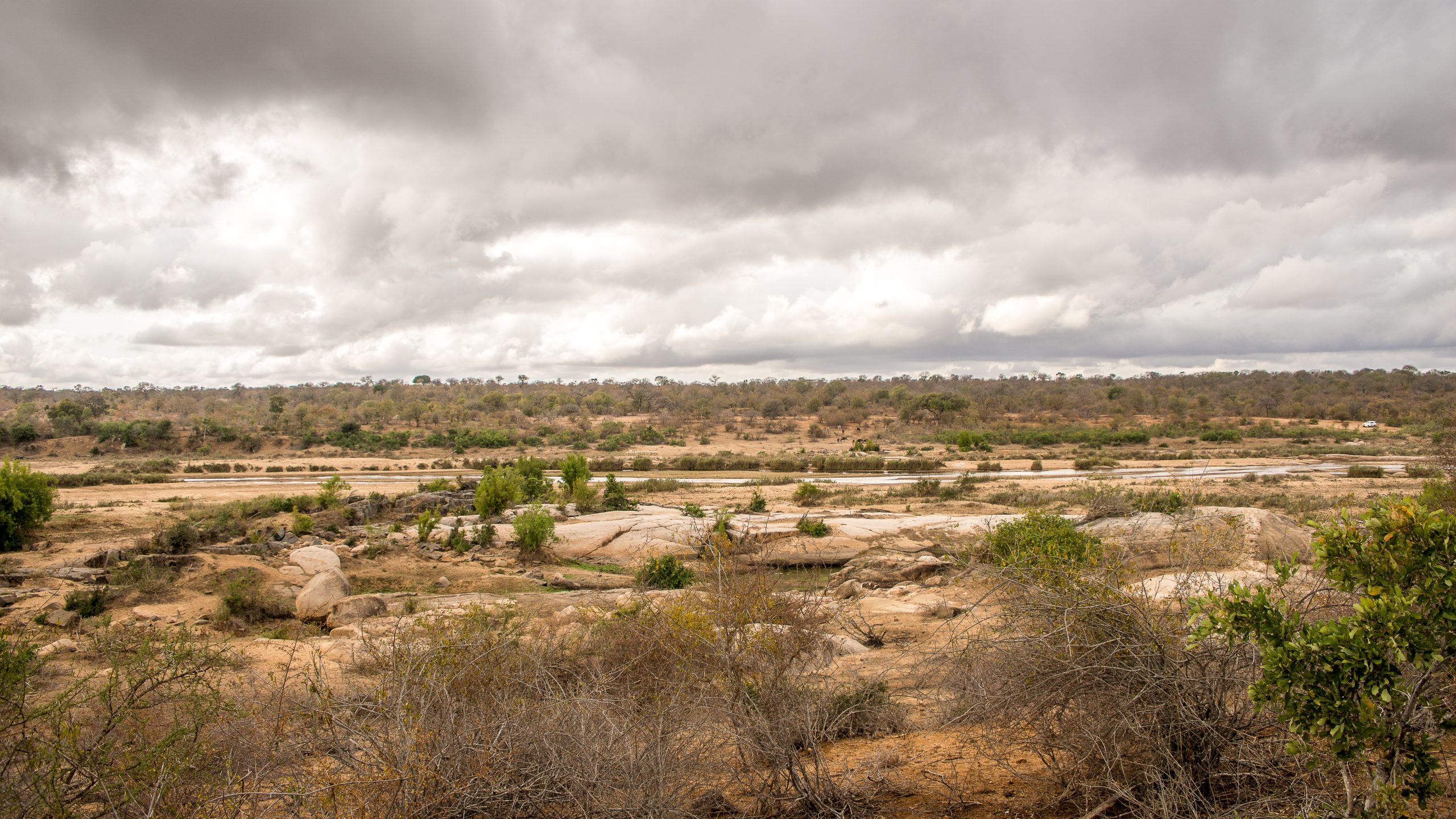A wide angle shot of a field with bushes and plants under a cloudy sky